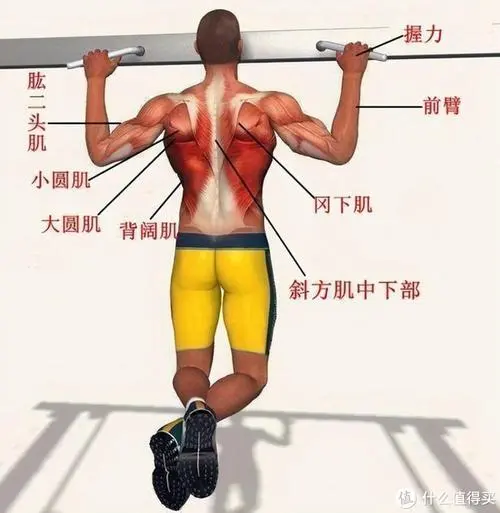 室内健身器材练手臂